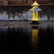 Yellow Fire Hydrant Reflected in Pool of Water Flood