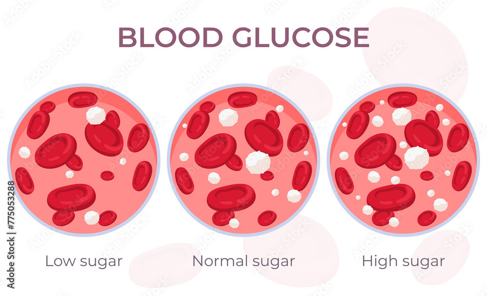 Blood glucose content. The circulatory system is its components. Red ...