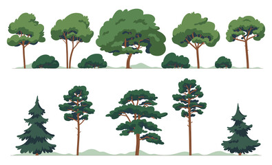 a set of deciduous and coniferous trees. cartoon plants. forest with trees in cartoon style. vector 