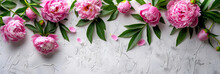Creative Layout Of Pink Peony Blossoms And Foliage On A White Concrete Background