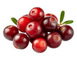 Fresh and raw lingonberries or cowberries, isolated