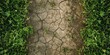 Dried, cracked earth and green grass around the edges , concept of Climate change impact