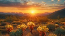 A Beautiful Sunset In The Desert With Cacti. Generative AI.