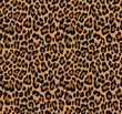© Sanvel - Leopard cat print texture seamless stylish design, vector pattern