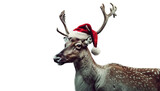 Fototapeta Krajobraz - Christmas reindeer with red ribbon. Close-up: Reindeer in Santa's hat on a light transparent background. Christmas elements.