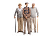 Full length portrait of three elderly man standing