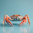 A vibrant, high-resolution image of a crab on a subtle blue background.