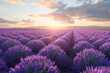 A field of blooming lavender stretching towards the horizon, exuding fragrant notes and inviting pollinators. Concept of aromatic lavender fields. Generative Ai.
