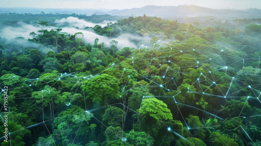 Algorithms Climate Change AI in environmental conservation, showing algorithms predicting climate ...