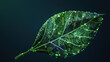 © Fxquadro - A leaf integrates with a green circuit board pattern symbolizing the fusion of nature and technology