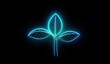 Neon outline of a botanical leaf. The concept of purity and technology.