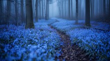 A Carpet Of Bluebells In A Wood, Creating An Enchanting Scene That Seems Straight Out Of A Fairy Tale This Spring Phenomenon Transforms The Forest Floor Into A Sea Of Delicate Blue