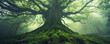 Mystical foggy forest with ancient mossy tree