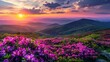 © BrandwayArt - Majestic Sunset Over Mountains With Flower Foreground