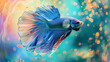 A blue and red fish with a long tail is swimming in a tank. The fish is surrounded by a colorful background, which gives the image a vibrant and lively feel