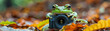 A frog embracing the art of photography, camera in hand, elegance in nature