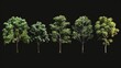Tree set collection, isolated on black backgound Generative AI