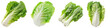 Chinese cabbage vegetable food ingridient cutout png transparent background
