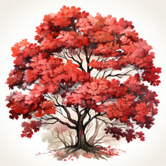 Wall Mural - watercolor Oak tree clipart, Generative Ai