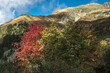 Couleurs d' automne avec les myrtilliers ,dans la chaîne de Belledonne , vue sur le Crêt du Chien , Isère ,Alpes France