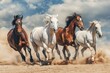 Group of horses running gallop in the desert.