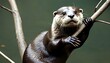 an-otter-with-its-claws-extended-gripping-onto-a-upscaled_7