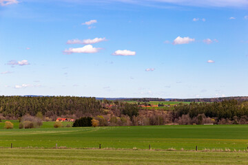 Wall Mural - Springtime rural landscape in cenrtal Europe