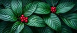 160_f_775320246_vq99v5zq44zb2egztbf4skaeimxffcyb
