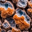 Macro Photography of Mineral Textures with Honeycomb Patterns
