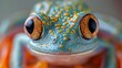 frog close-up