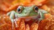 frog close-up