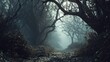A dark and foggy forest with a path between bare trees.