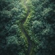 Cross-shaped path through a lush forest, vibrant green background for pathways to financial success.