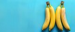   Two bunches of bananas rest atop a blue surface with a wooden stick protruding from one