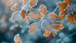 Frost-covered leaves in the early morning light