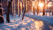 Icicles hanging from branches like delicate ornaments along a wintry pathway