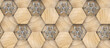 © ADDICTIVE STOCK - 3D hexagon made of wood with silver decor