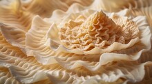Close Up Of White Decorative Cabbage As Background