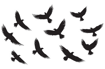 Wall Mural - Flying birds silhouettes Vector illustration white background