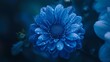 A close up of a blue flower with water droplets on it, AI