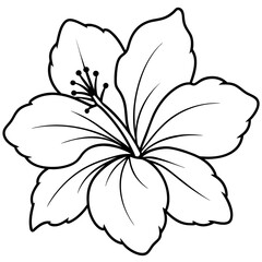 Wall Mural - line art of a hibiscus