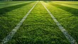 Pitch Patterns: Examining Football Fields' Complex Turf Designs