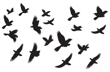 Wall Mural - silhouettes flying birds Vector illustration