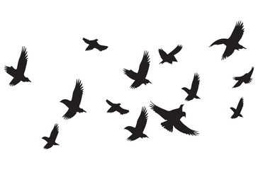 Wall Mural - silhouettes flying birds Vector illustration