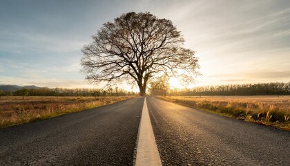 Sticker - abstract background of route and journey amidst the big tree and beautiful nature