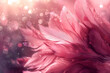 A romantic abstract background with soft pink feathers