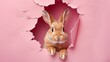 A cute bunny is peeking through a torn pink paper, giving a cheeky yet adorable look