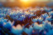 Spring flowers of blue crocuses on sun light flare .generative ai