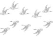 飛翔する鳥の群れ　パターン　背景