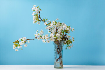 Wall Mural - pear blossoming flowers. Spring flowers bloom. 